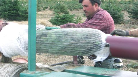Sapin Expo permet de trouver des plants de sapins, des matériels, des innovations et des services. La deuxième édition est annoncée le 16 juin. ©AFSNN